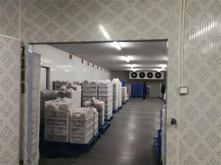 图为BG真人工程建造的冷库